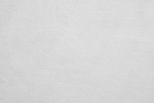 Mold Documentation for Insurance Claims in Egypt Lake Leto, FL