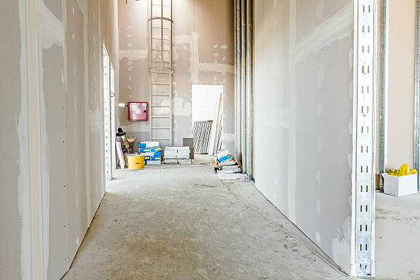 Forensic Mold Investigation in Egypt Lake Leto, FL